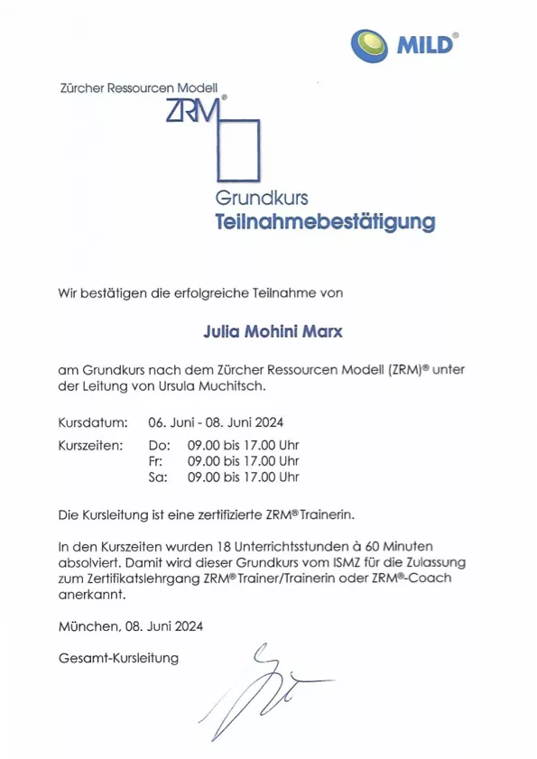 ZRM Zürcher Ressourcenmodell